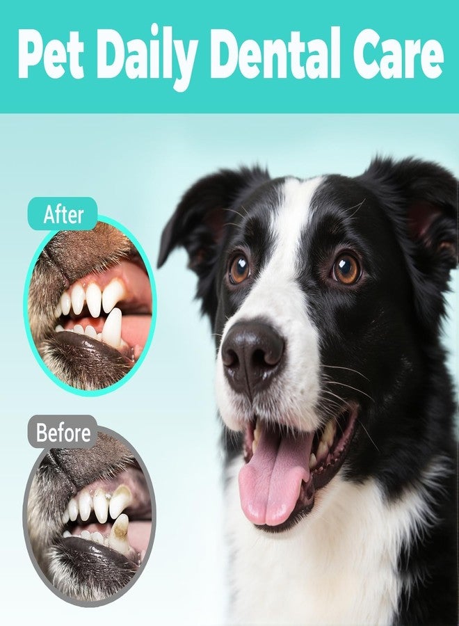 LAYZOO 50 PCS Teeth Cleaning Finger Wipes for Dogs & Cats,Dental Cleaning Wipes for Dogs and Cats,Pet Teeth Cleaning Finger Wipes,Reduces Plaque and Freshens Breath, Removes Tartar, Disposable Wet Wipes - Image 3